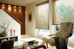 Innenjalousien auch als Sonderform, in Sonderausstattung, als Revival, Holz, Bambus oder Transluzent